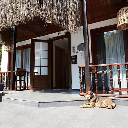 No 22 Riders' 3* 아키아카